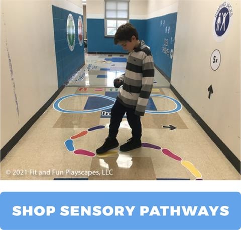 Sensory Pathway