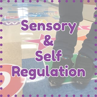 Sensory & Self Regulation