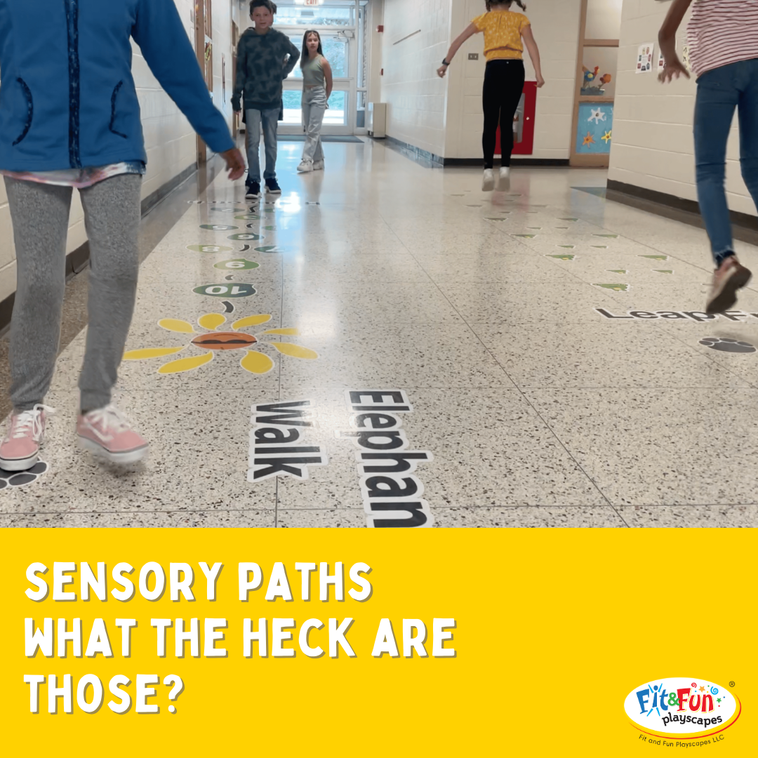 Sensory Paths What the Heck