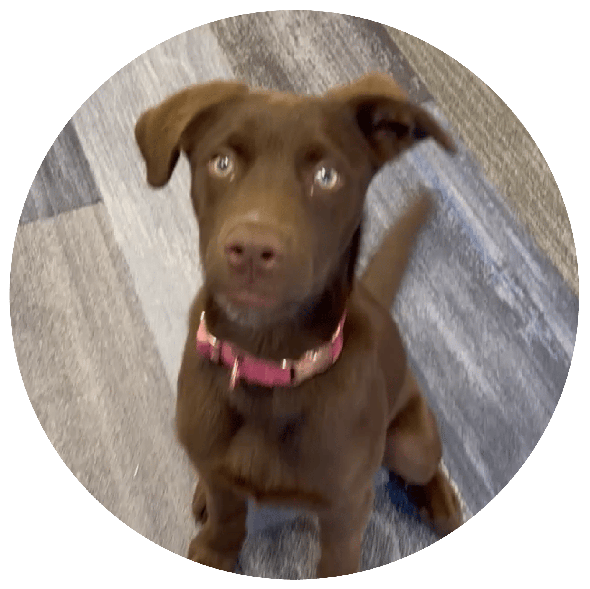 Sadie Headshot