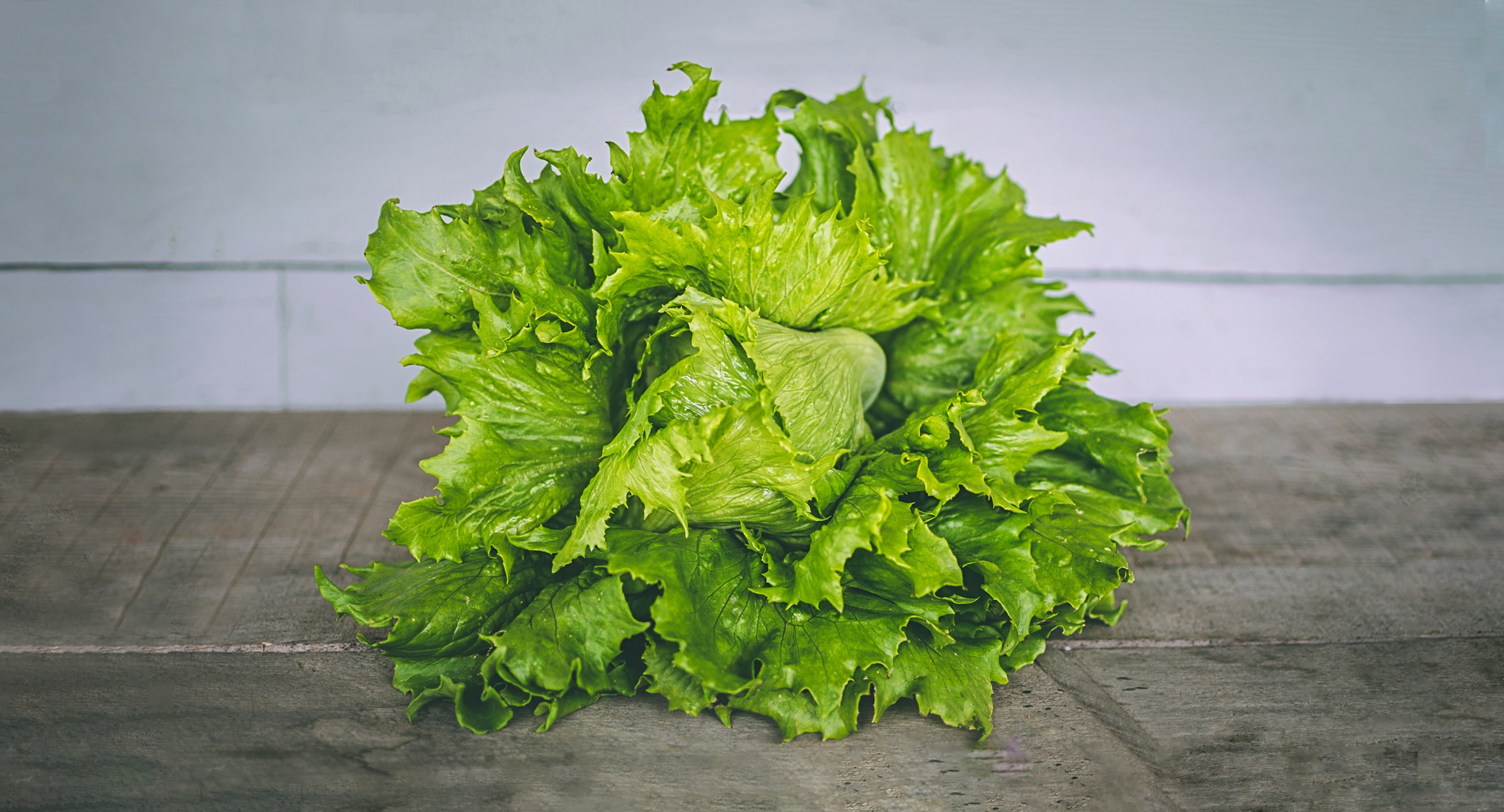 Alt: Lettuce leaves on a table. Image courtesy of Unsplash, by Jef Wright.