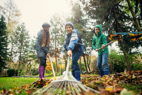 kids raking leaves